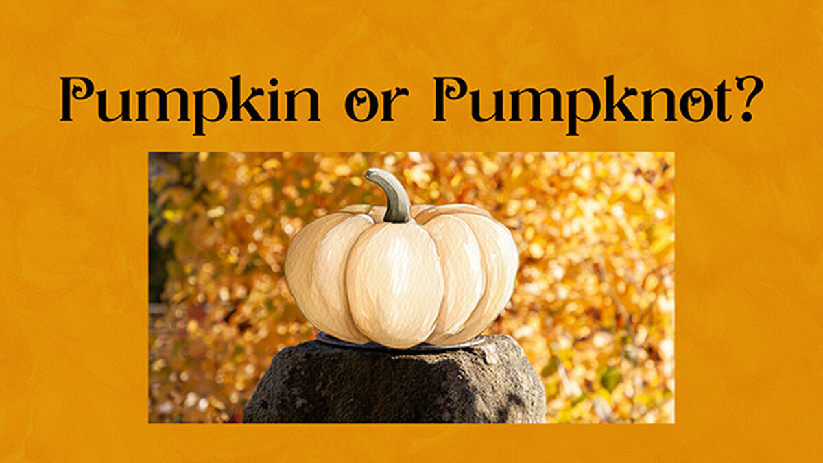 Pumpkin or Pumpknot image number 2